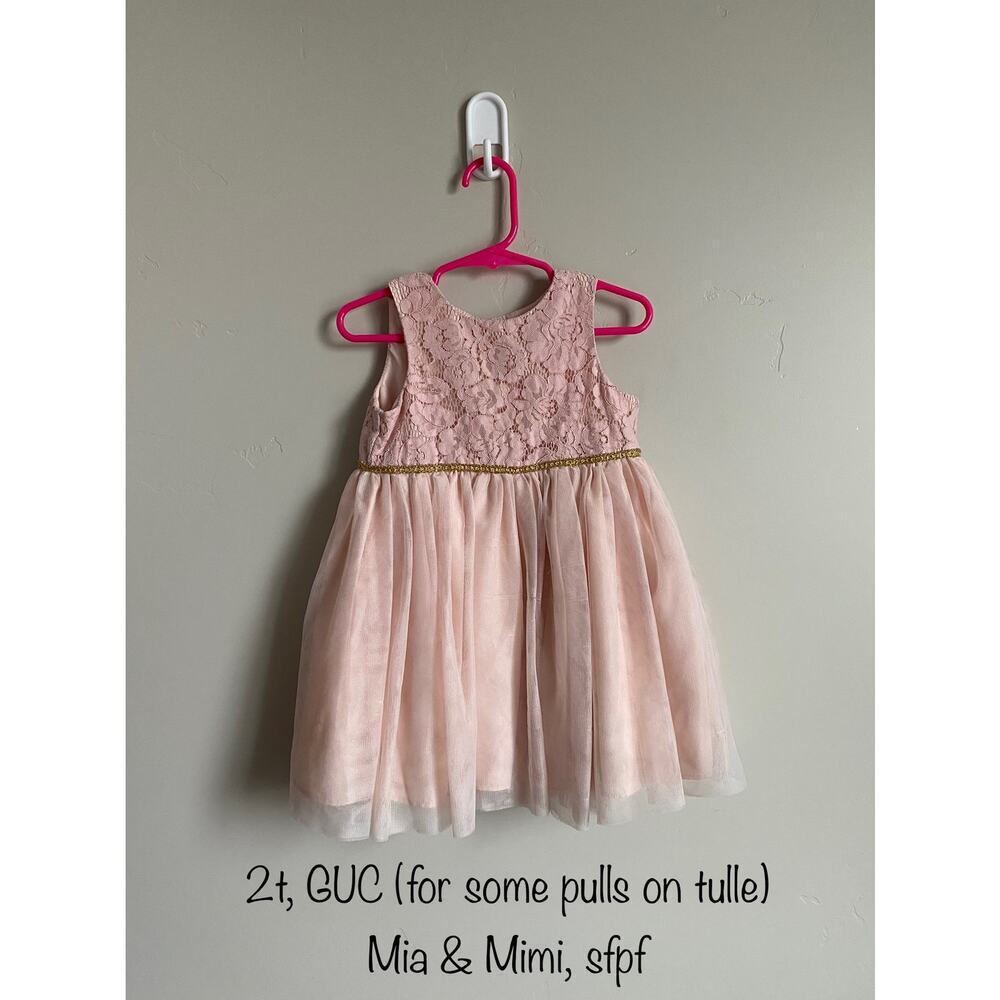 Mia & Mimi Blush Pink Lace and Tulle 2t Dress- perfect for flower girls